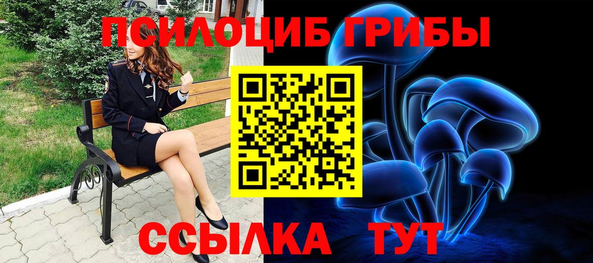 Псилоцибиновые грибы Psilocybine cubensis  Вход с VPN  купить  сайты  Изобильный 