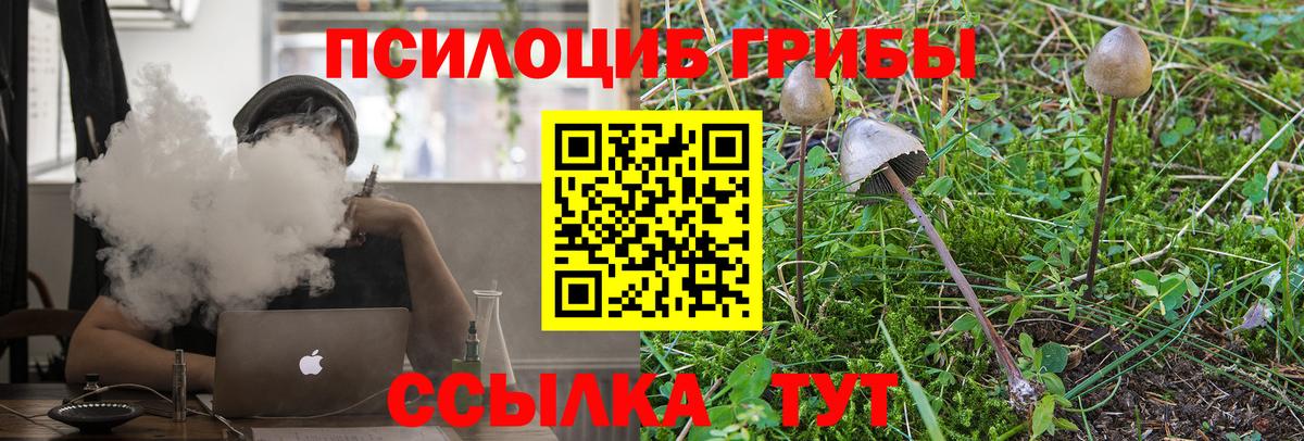 Псилоцибиновые грибы прущие грибы Изобильный